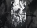Avenged Sevenfold - A Little Piece of Heaven #a7x #avengedsevenfold