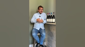 Langhe Nebbiolo: The Purest Expression of Nebbiolo from Piedmont (Interview at Candid Wines)