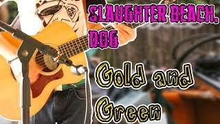 Slaughter Beach, Dog - Gold and Green Acoustic Guitar Cover 1080P
