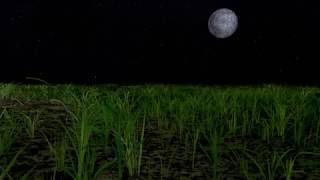 Grass Night - Camera Pan Test screenshot 4