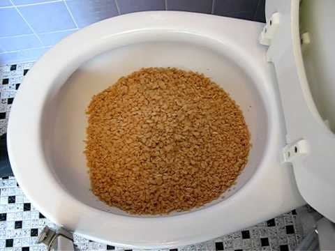 Is it safe to flush food (especially rice) down the toilet?