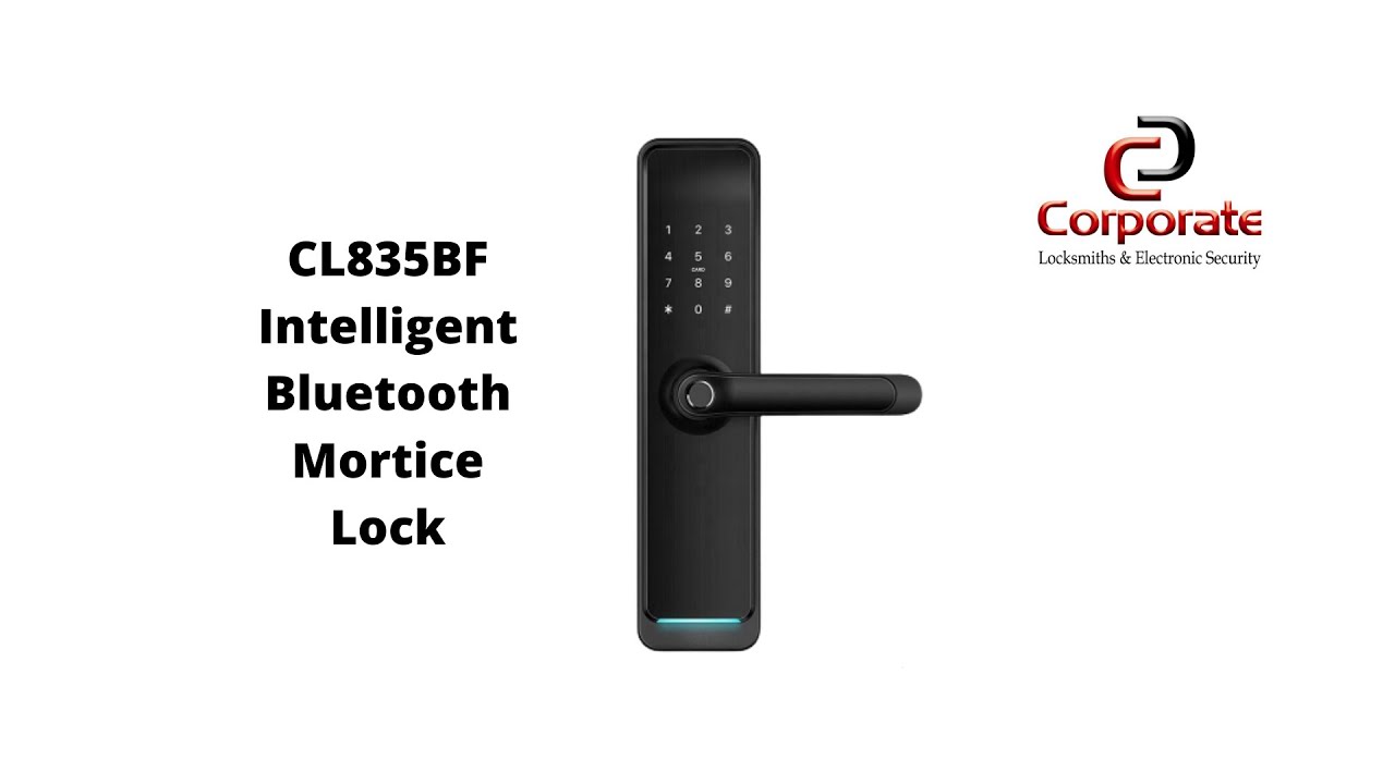 Chip Portero Automático Bluetooth TTLock