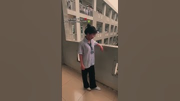 Mỗi ngày đi học