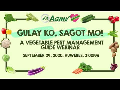 Video: Mga Karaniwang Sakit sa Carrot - Mga Tip sa Paggamot sa mga Problema sa Pagpapalaki ng Karot