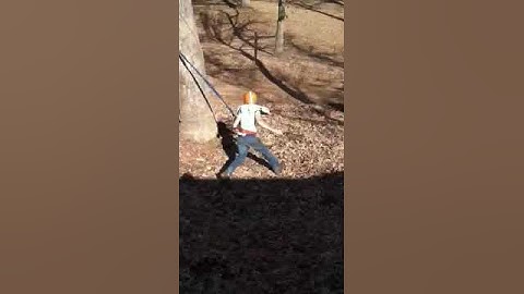 Redneck jackass part 1 bradley