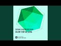Miniature de la vidéo de la chanson Silent For So Long (Dub)