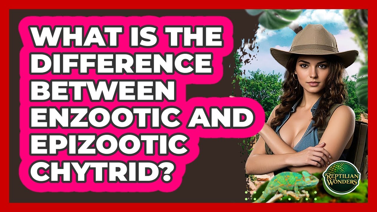 What Is The Difference Between Enzootic And Epizootic Chytrid? - Reptilian Wonders