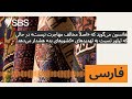 هانسون می گوید که اصلا مخالف مهاجرت نیست در حالی که تیلور نسبت به تهدیدهای کشورهای بد هشدار