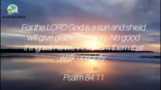 Wonderful, Merciful Savior with Lyrics 1-Hour | Peaceful Worship Music, Soaking In God's Presence