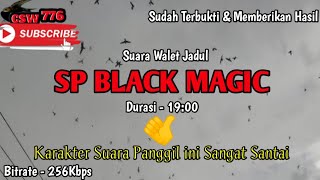 SP BLACK MAGIC - DNA SUARA WALET JADUL - RESPON MASIH MANTAP