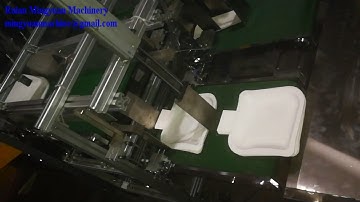 Paper Plate Machine with counting and collection system testing for German Client1