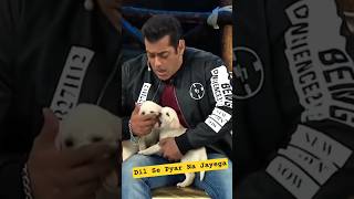 Small Dog 🐕 Salman Khan Aishwariya ❤️❤️👌💯
