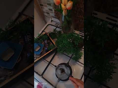 اسكبتلك دمعي بالكاس إشرب من دمعة عيني طرب حلبي سوريا احلى اغاني