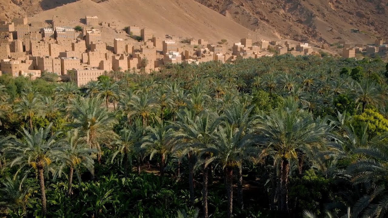 حكايات حضرمية | محمدة.. واحة النخيل في حضرموت