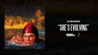 DJ Shadow - She's Evolving (Official Audio)