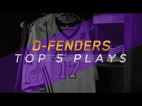 Los Angeles D-Fenders Top 5 Plays of November 2013