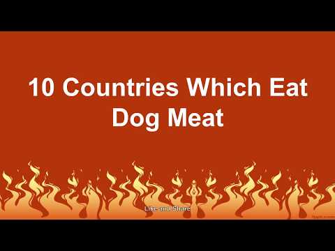 Top 10 Countries Which Eat Dog Meat In The World