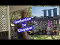 Singapur - Handelsmetropole und Touristenattraktion - mit Bildern