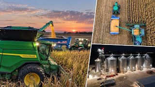 The Push Before The Rain | Racing The Rain With 3 John Deere X9 Combines