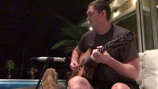Rain Song Lag Hyvibe Guitar