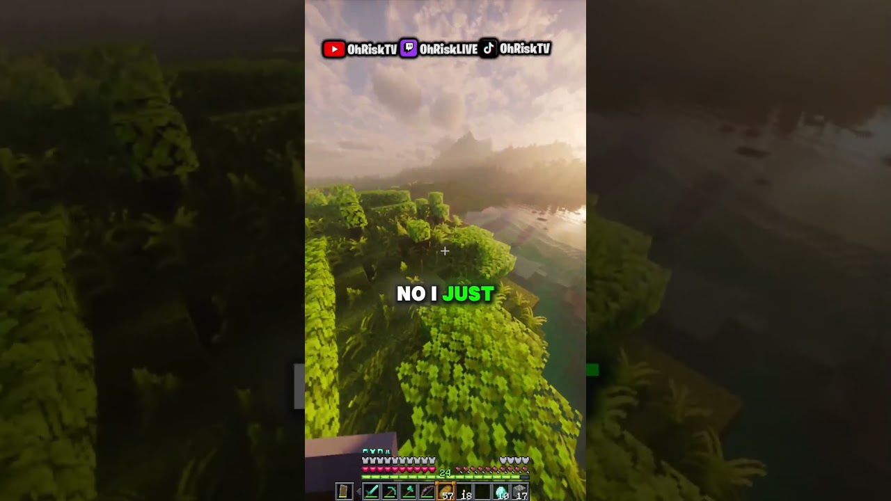 MINECRAFT, BUT WHEN IM FACE REVEALING