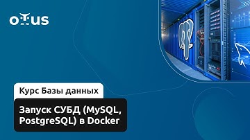 Запуск СУБД (MySQL, PostgreSQL) в Docker // Демо-занятие курса «Базы данных»