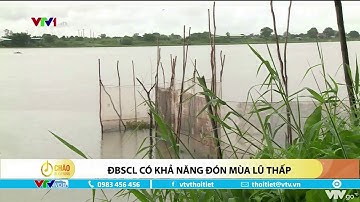 Đồng bằng sông Cửu Long có khả năng đón mùa lũ thấp | VTVWDB