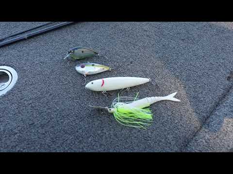Deep Dive - Top 4 Fall Time Baits - Kyle Austin