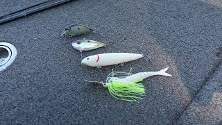 Deep Dive - Top 4 Fall Time Baits - Kyle Austin - YouTube