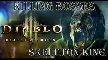 diablo 3 Reaper Of Lost Souls: boss skeleton king