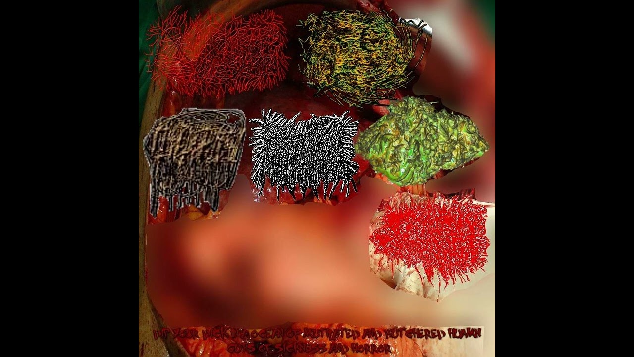Dip your dick in a ocean of mutilated and butchered human guts of sickness and horror (Full split)