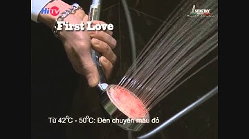 Vòi hoa sen phát sáng đổi màu SENZINY - First Love