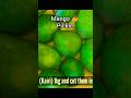 #mango #arabic #asia #shorts #viral #trending #summer #fresh #home #easy #eating #egg #asmr #foodie