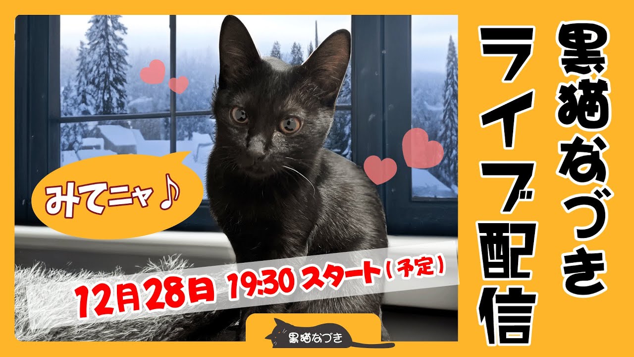 生のおしゃべり美少女黒猫なづきをお見せします！ - YouTube