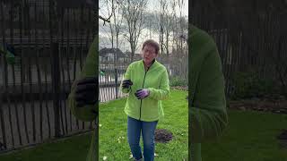 GARTENFRAGE im Dezember: Fruchtmumien absammeln