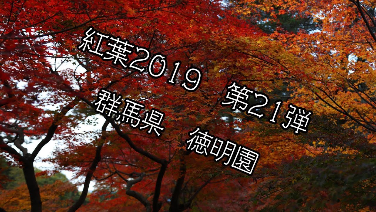 紅葉2019 群馬県高崎市 徳明園 - YouTube