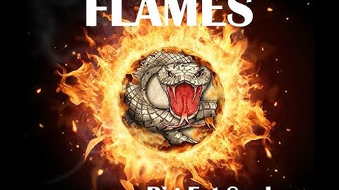 FLAMES - a tribute to Big Fat Snake