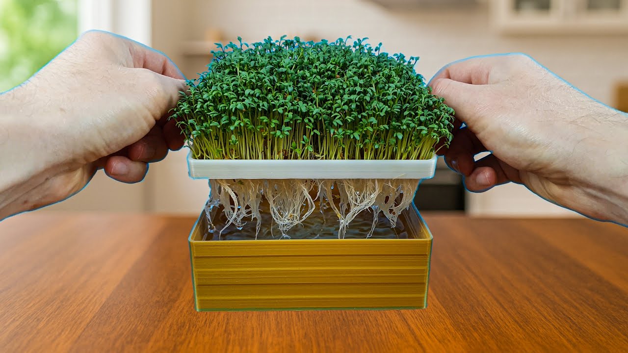 DIY Microgreens Hydroponic Tray – 3D Printed for Home Growing