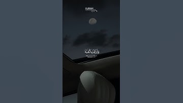 وَأُزلِفَتِ الجَنَّةُ لِلمُتَّقينَ غَيرَ بَعيدٍ | سورة ق | القارئ خالد هليل العنزي #حالات_واتس