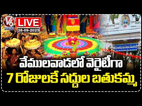 LIVE : Saddula Bathukamma Celebrations Held On 7th Day In Vemulawada | V6 News - V6NEWSTELUGU