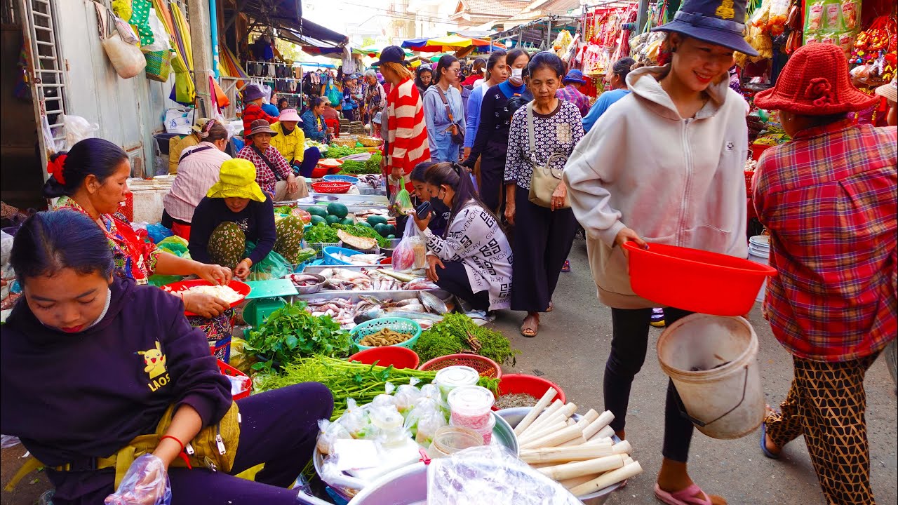 Market Compilation Various Kinds of Cambodian Fresh Street Food Market Compilation ...