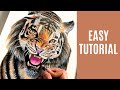 How to draw tiger  color pencil tutorial