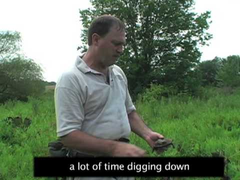 Video: Elementære Studenter Hjelper Til Med å Gjøre Tiny Bog Turtle Til Staten Reptile I New Jersey