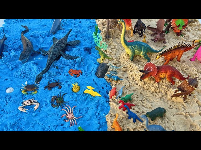 Dinosaurs On The Beach! Water Dinos and Land Dinos | T Rex, Velociraptor, and many more! class=