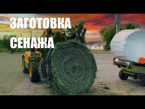 Заготовка сенажа в СХПК «Россия». Люцерна.