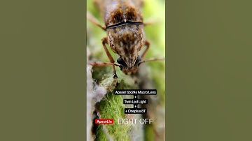 12x24x Macro Lens for Smartphone #iphone14promax #shortsfeed #shorts #apexel