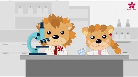 Tissue-Tek Xpress® x120 – Re:Lion video