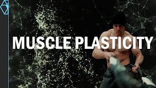 Muscle Plasticity: What Makes a Hard Gainer? And How to Transform Your Muscle
