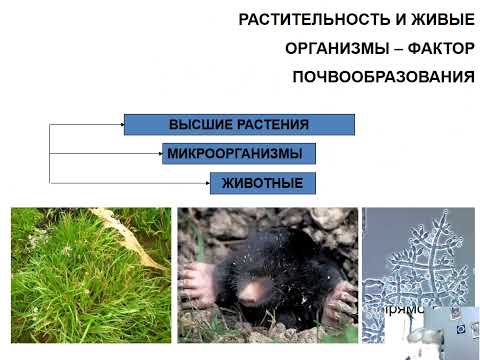 почвоведение лекция 1