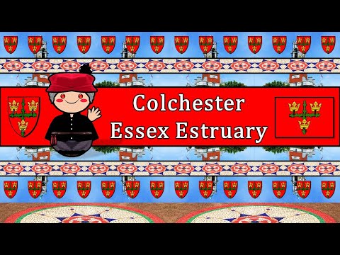 The Sound of the Colchester Essex Estruary dialect / accent (Numbers, Words & UDHR)